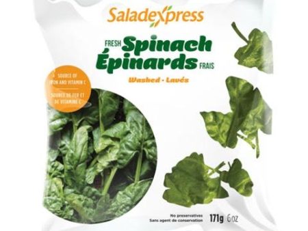 Fresh Washed Spinach Fashion