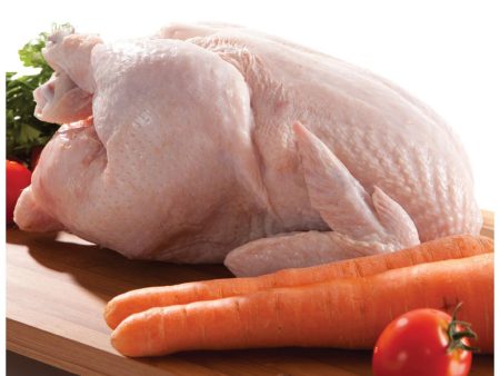 Fresh Whole Chicken Online