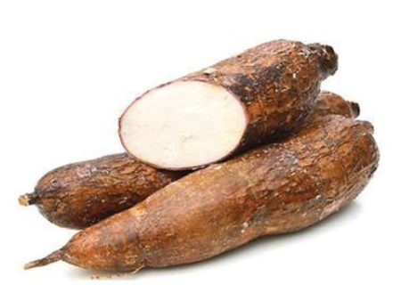 Yucca Root (Manioc) Hot on Sale