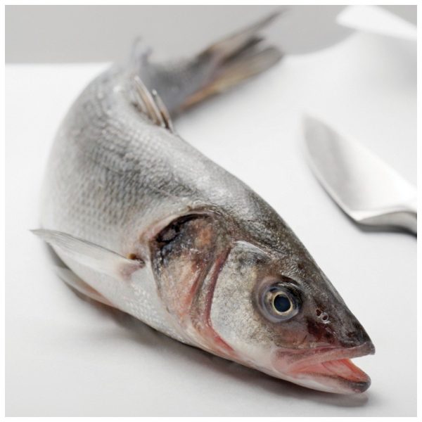 Cleaned Mediterranean Sea Bass Online now