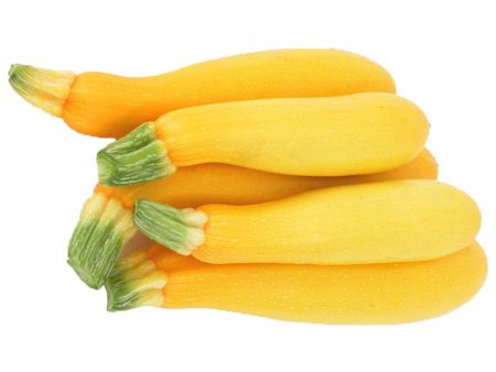 Yellow Zucchini Fashion