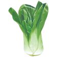 Baby Bok Choy Fashion