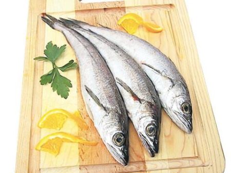 Cleaned Fresh Whiting Online now