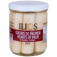 Hearts of Palm in Brine Discount