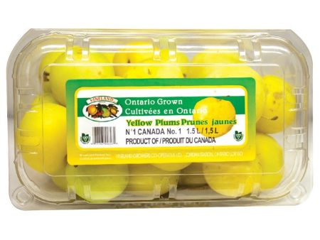 Yellow Plums on Sale