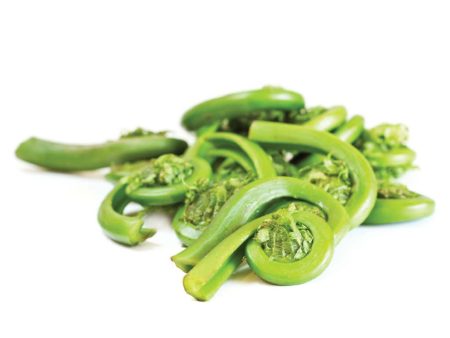 Fiddleheads on Sale