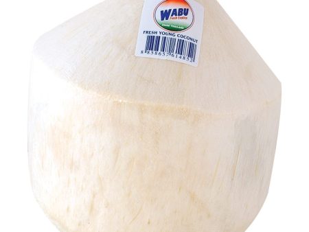 Young Coconut on Sale