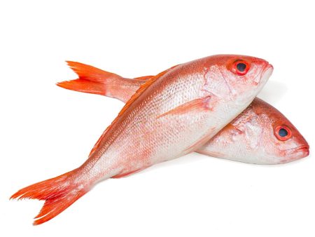 Fresh Cleaned Red Snapper Sale