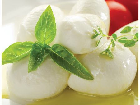 Burrata Cheese Hot on Sale