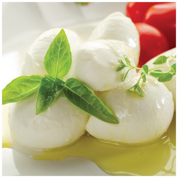 Burrata Cheese Hot on Sale