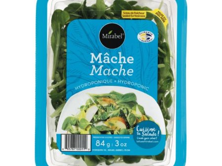 Mache Salad on Sale