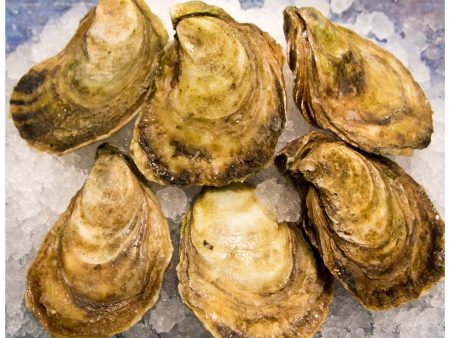 Prince Edward Island Raspberry Oysters Cheap