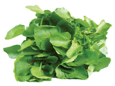 Watercress Discount