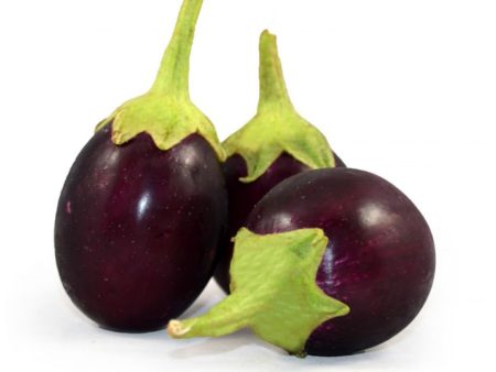 Young Indian Eggplants Fashion