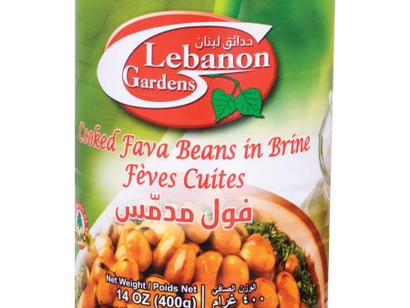 Cooked Fava Beans in Brine on Sale