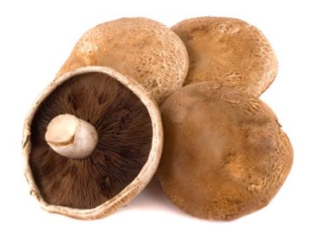 Portobello Mushrooms Online now