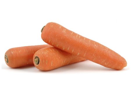 Jumbo Carrots Hot on Sale